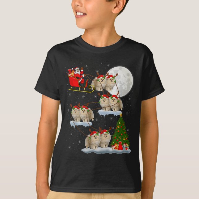T-shirt Meranian Dog Santa Sleigh Flying Funny Magical Chr (Devant)
