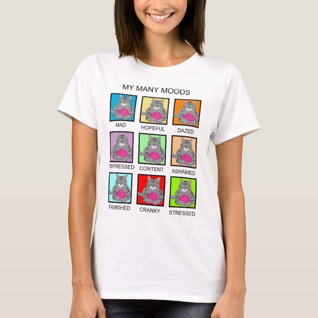 T-SHIRT MES NOMBREUSES MODES (Devant)