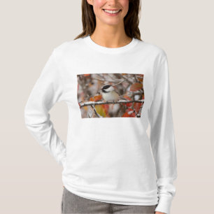 T-shirt Mésange à tête noire adulte dans la neige