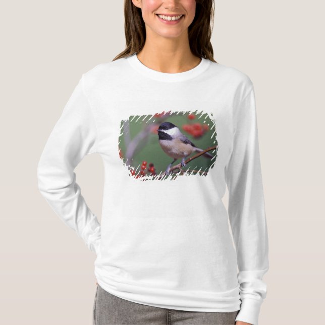 T-shirt Mésange de Caroline (Devant)