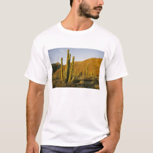 T-shirt Mexique, Baja, Père Noël, île de Catalina, mer 