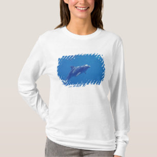 T-shirt Mexique, Cozumel. Grand dauphin