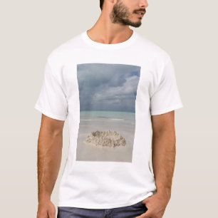 T-shirt Mexique, Yucatan, Isla Mujeres Île de