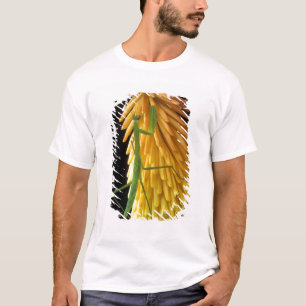 T-shirt Michigan, Rochester Hills. Mante religieuse sur Ro