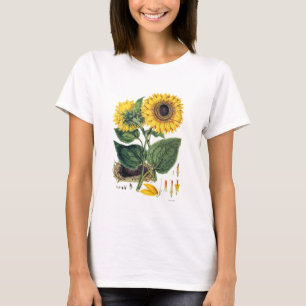 T-shirt Miller : Tournesol