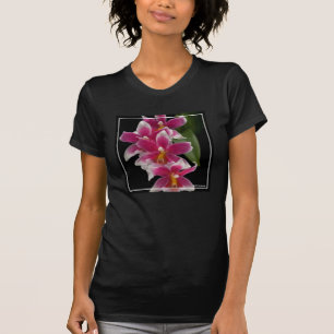 T-shirt Miltonioda Sakura