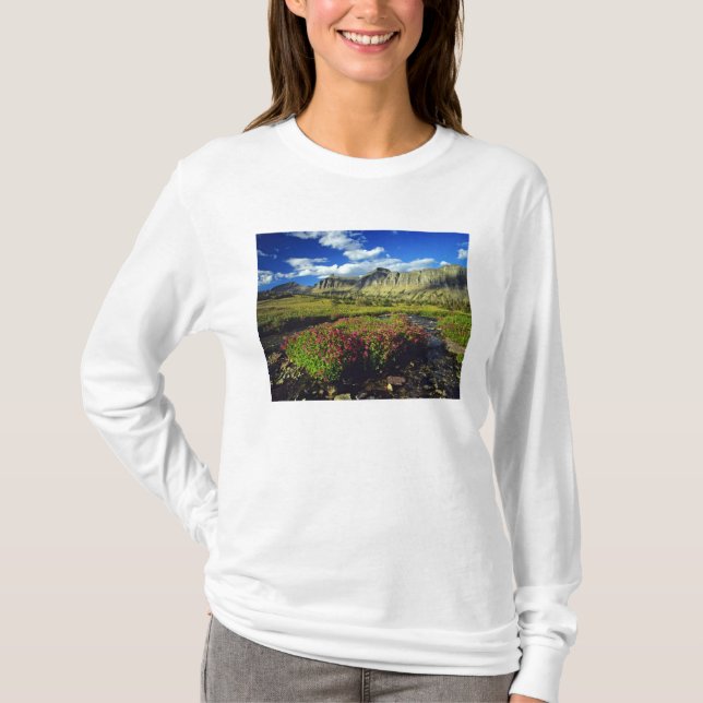 T-shirt Mimulus de Logan Pass dans le parc national de Gla (Devant)