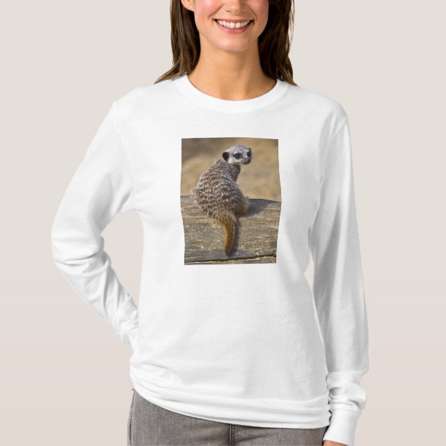 T-shirt Mini Kat Tee (Devant)
