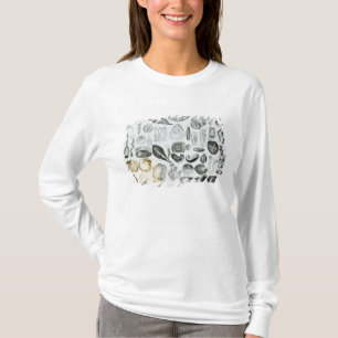 T-shirt Mollusques