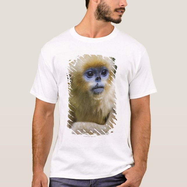 T-shirt Montagnes de Qinling, octobre 2006 (Devant)