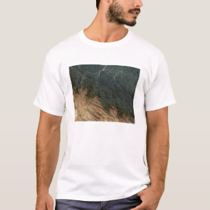 T-shirt Montagnes des Andes
