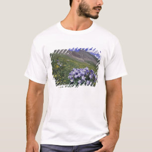 T-shirt Montagnes et fleurs sauvages dans un pré alpin, Bl