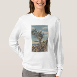 T-shirt Monterey, CA - vieil arbre de sorcière sur 17