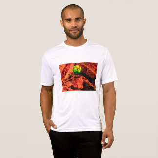 T-shirt mosquitus