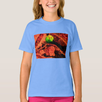 T-shirt mosquitus
