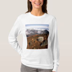 T-shirt Mot d'argent sur la rime du cratère de Haleakala, 