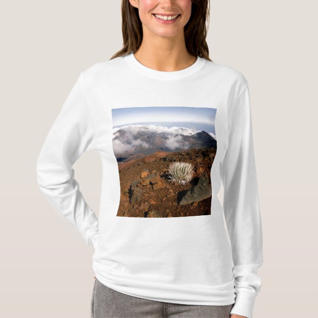T-shirt Mot d'argent sur la rime du cratère de Haleakala,  (Devant)