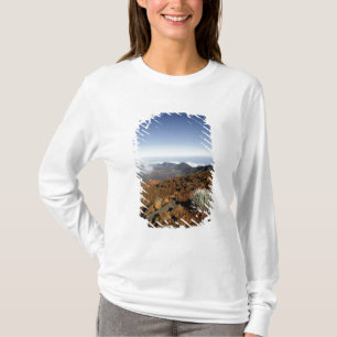 T-shirt Mot d'argent sur la rime du cratère de Haleakala d