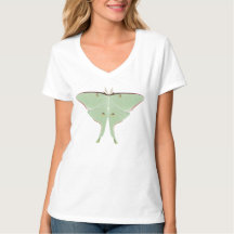 Moth Luna