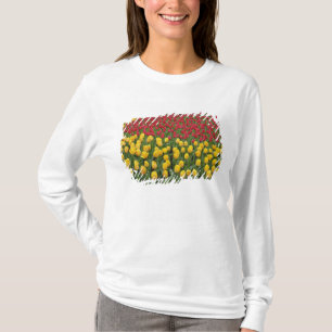 T-shirt Motif de jardin de tulipes, Jardins de Keukenhof,