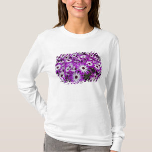 T-shirt Motif floral, Jardins de Kuekenhof, Lisse,