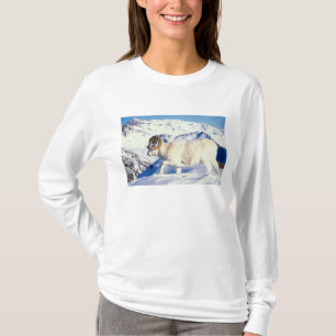 T-shirt mouflon de Dall, Ovis dalli, bélier à cornes recou