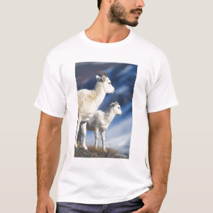 T-shirt mouflon de Dall, Ovis dalli, brebis et agneau
