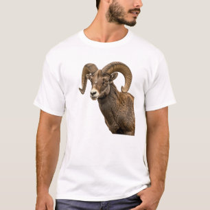 T-shirt Mouflons majestueux sur une pente rocheuse