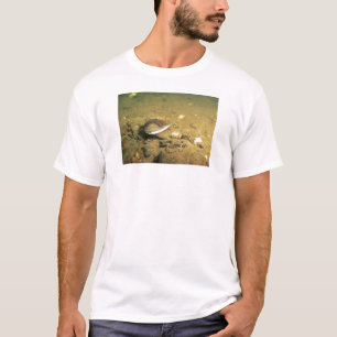 T-shirt Moule d'eau douce