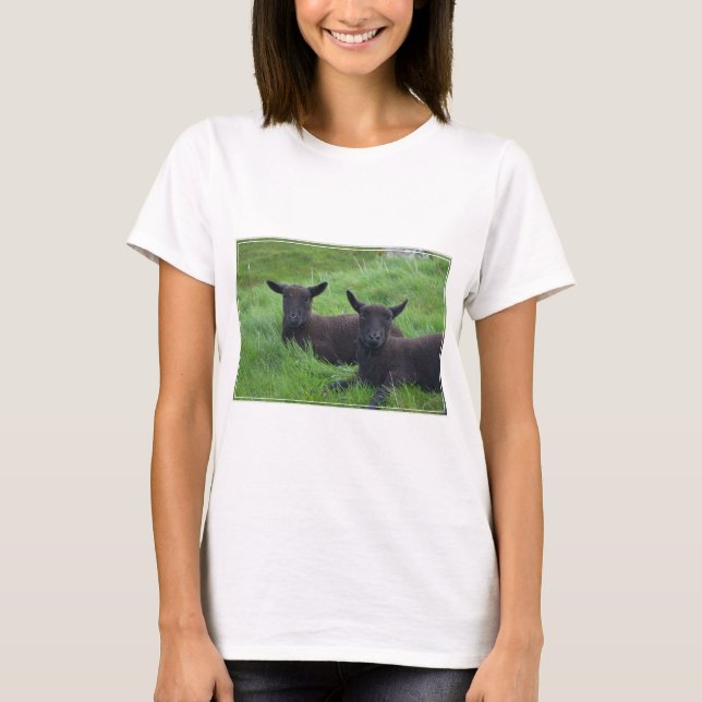 T-shirt Mouton noir (Devant)