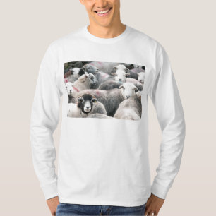 T-shirt Moutons de Herdwick