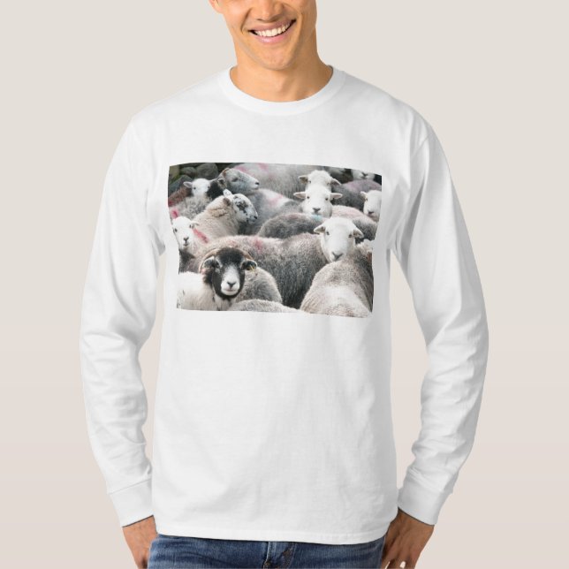 T-shirt Moutons de Herdwick (Devant)