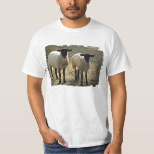 T-shirt Moutons Suffolk Scène pastorale de pâturage ou de 
