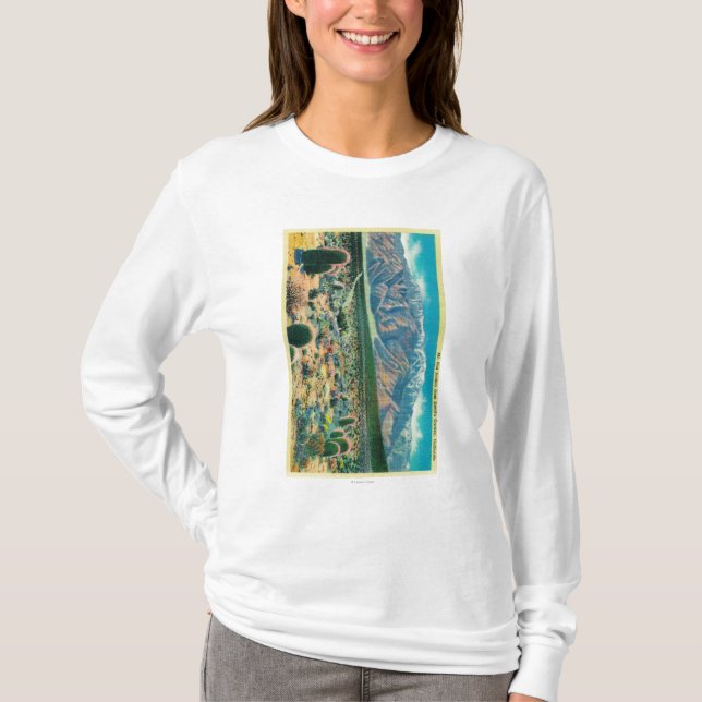 T-shirt Mt. San Jacinto du jardin du diable (Devant)