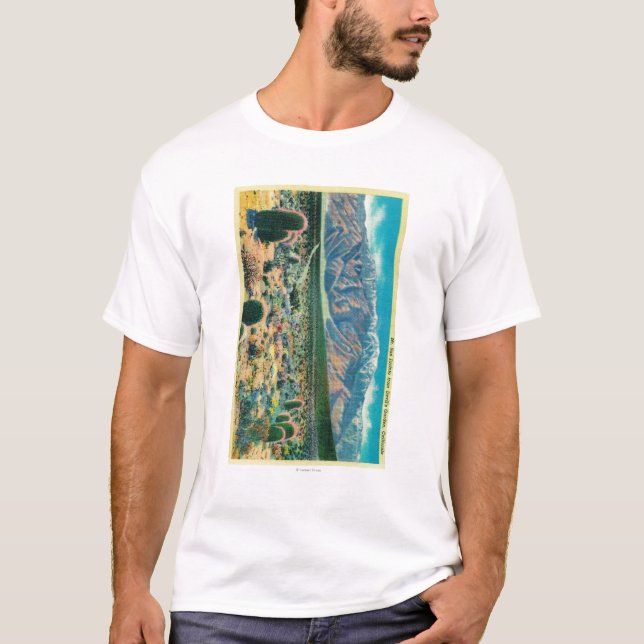 T-shirt Mt. San Jacinto du jardin du diable (Devant)