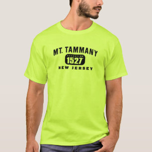 T-shirt Mt. Tammany - vert de sécurité
