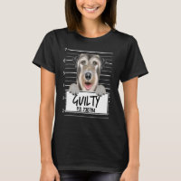 Mugshot de Lévrier Irlandais Chien Coupable
