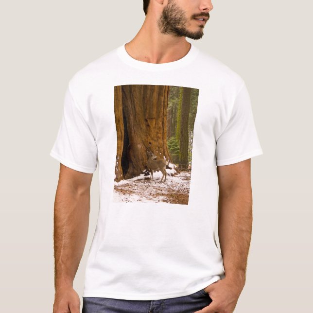 T-shirt Mule Deer (Devant)