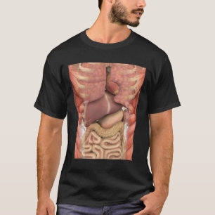 T-shirt Muscles humains Organes Effrayant Enseignant Anato