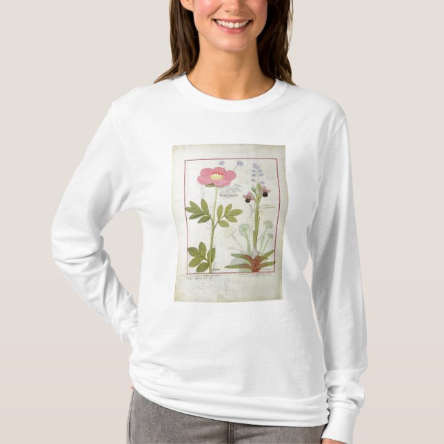 T-shirt Myanthos de Paeonia ou pivoine, et d'Orchis (Devant)