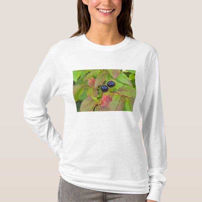 T-shirt Myrtille mûre dans le Flathead National (Devant)