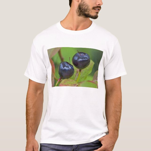 T-shirt Myrtille mûre dans le Flathead National 2 (Devant)