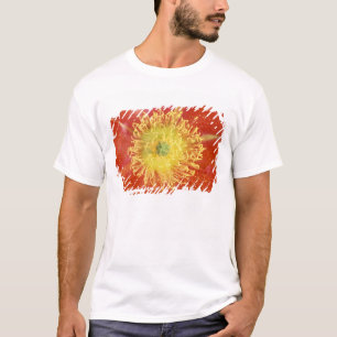 T-shirt N.A., États-Unis, Arizona, Casa Grande, NM, désert