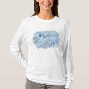 T-shirt N.A., États-Unis, Arizona, Tucson, désert de Sonor