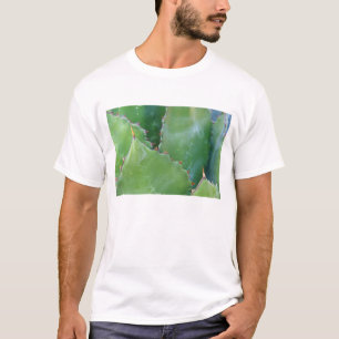 T-shirt N.A., États-Unis, Arizona, Tucson, désert de Sonor