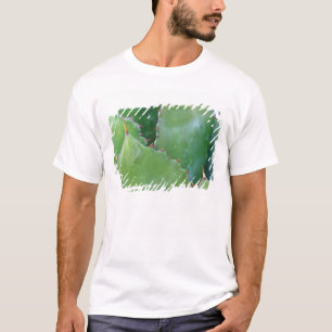 T-shirt N.A., États-Unis, Arizona, Tucson, désert de Sonor