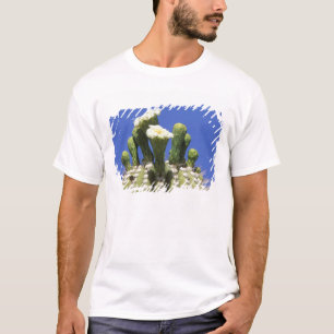 T-shirt N.A., États-Unis, Arizona, Tucson, désert de Sonor