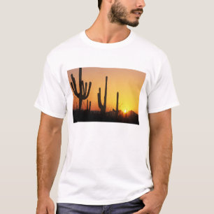 T-shirt N.A., États-Unis, AZ, Parc national de Saguaro, Co