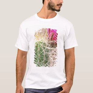 T-shirt N.A., États-Unis, AZ, Phoenix, Jardin botanique du