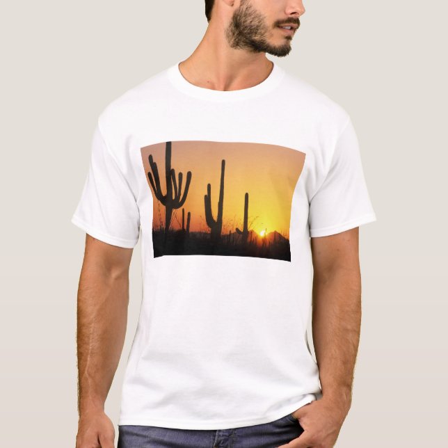 T-shirt N.A., États-Unis, AZ, Saguaro NP, Saguaro Sunset (Devant)